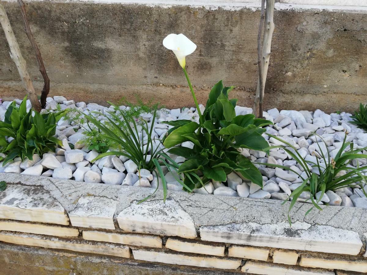 Apartman 1 Zadar Buitenkant foto