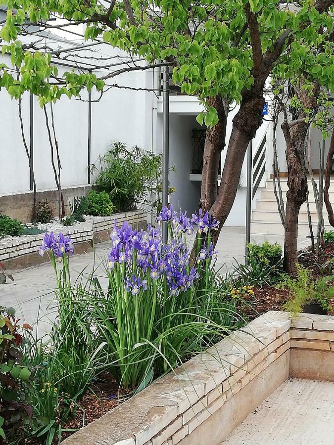 Apartman 1 Zadar Buitenkant foto