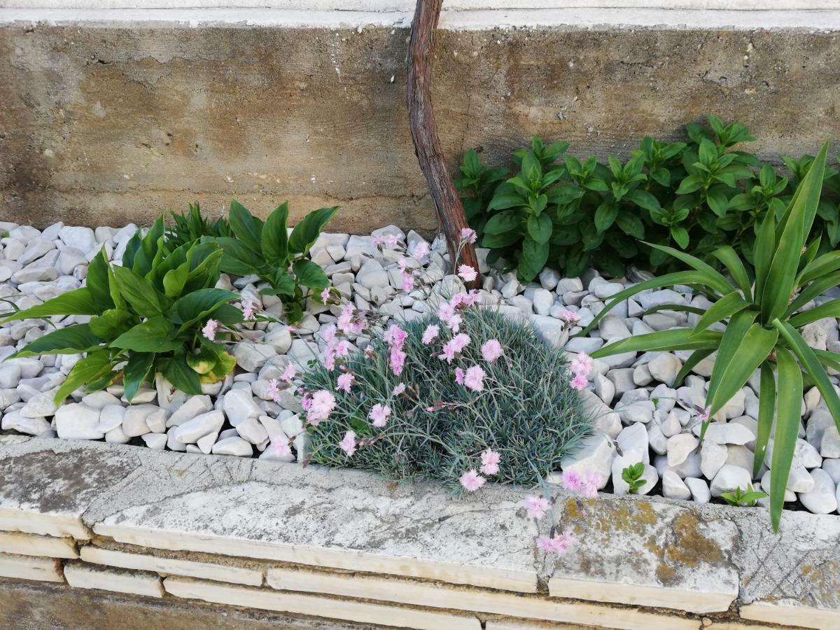Apartman 1 Zadar Buitenkant foto